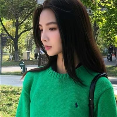 光荣之路上的狗